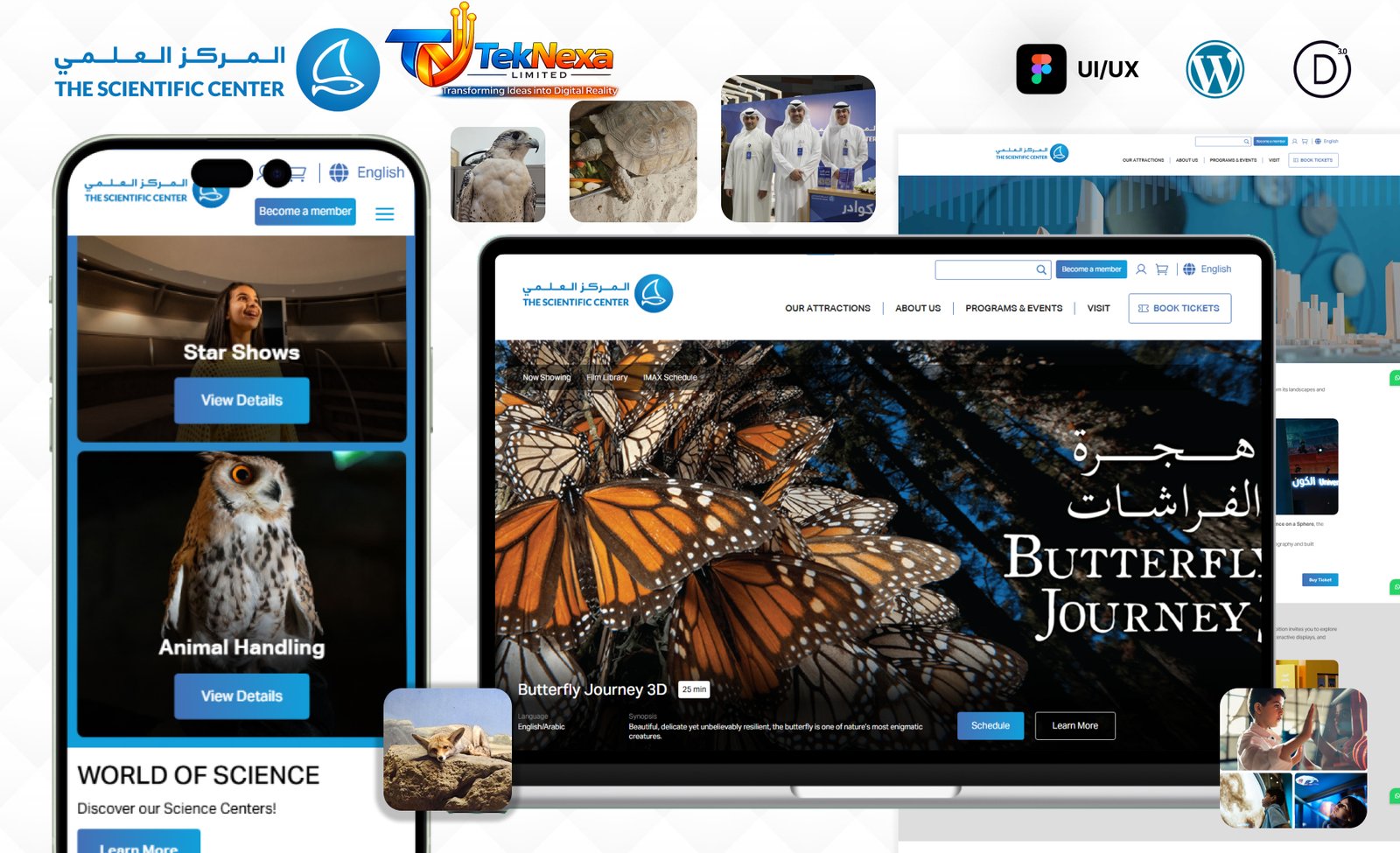 TSCK — E-commerce